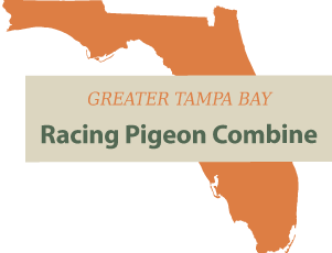 Greater Tampa Bay Racing Pigeon Concourse